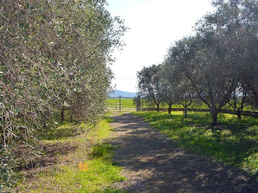 Agriturismo Olivomare Piombino Eksteriør billede
