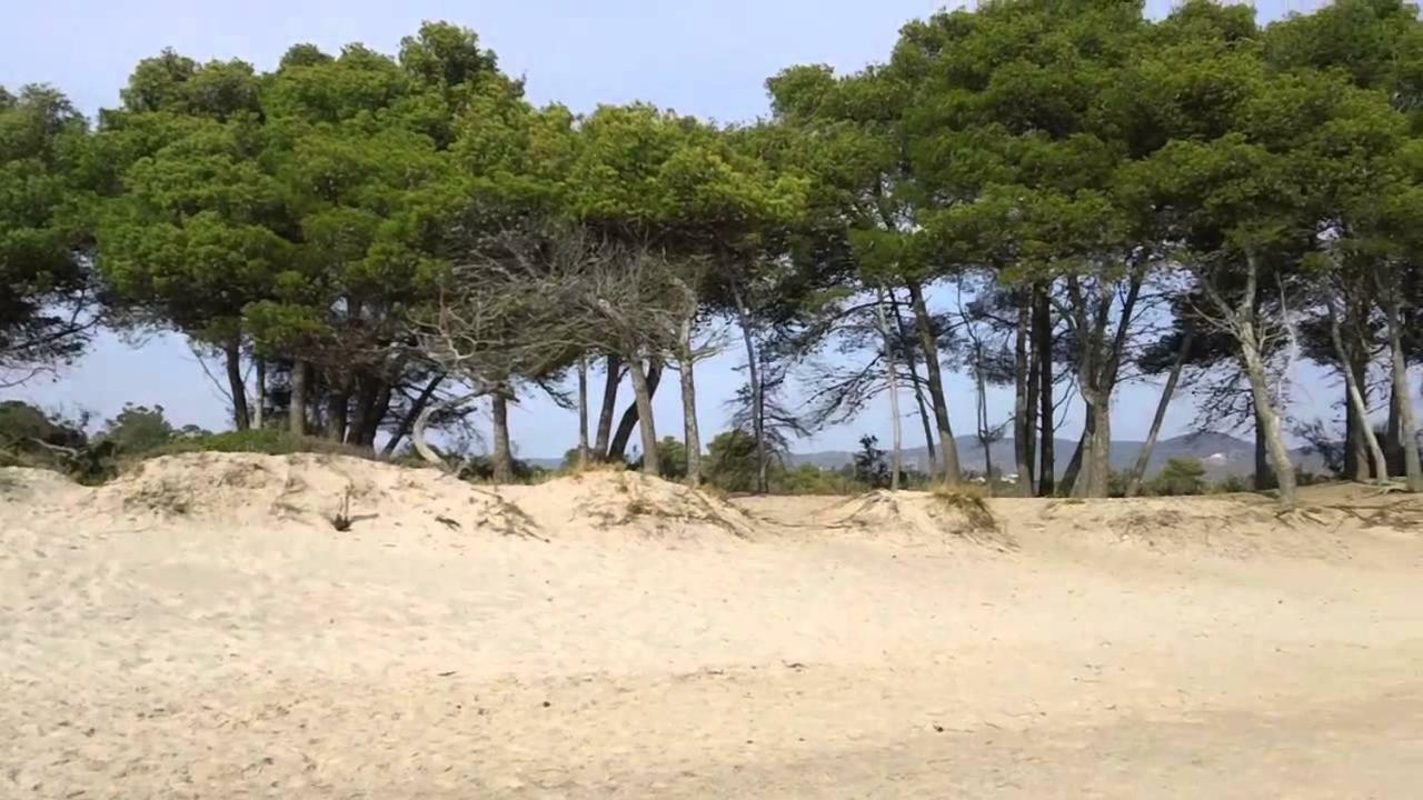 Agriturismo Olivomare Piombino Eksteriør billede